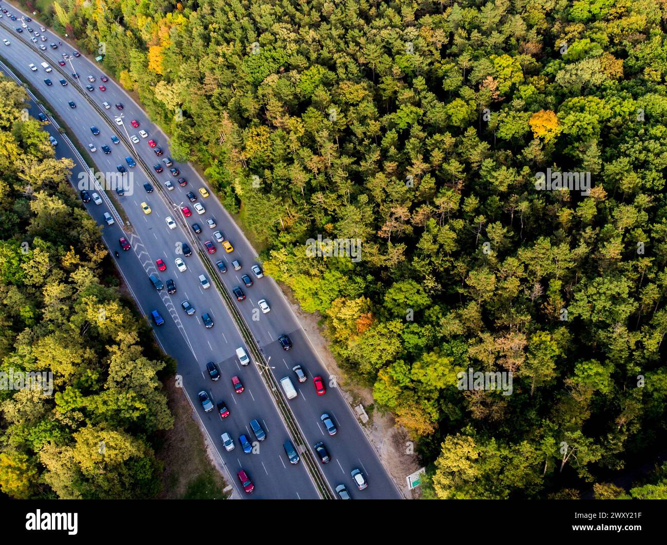Autos fahren auf einem Boulevard durch einen Herbstwald in der bulgarischen Hauptstadt Sofia. Stockfoto
