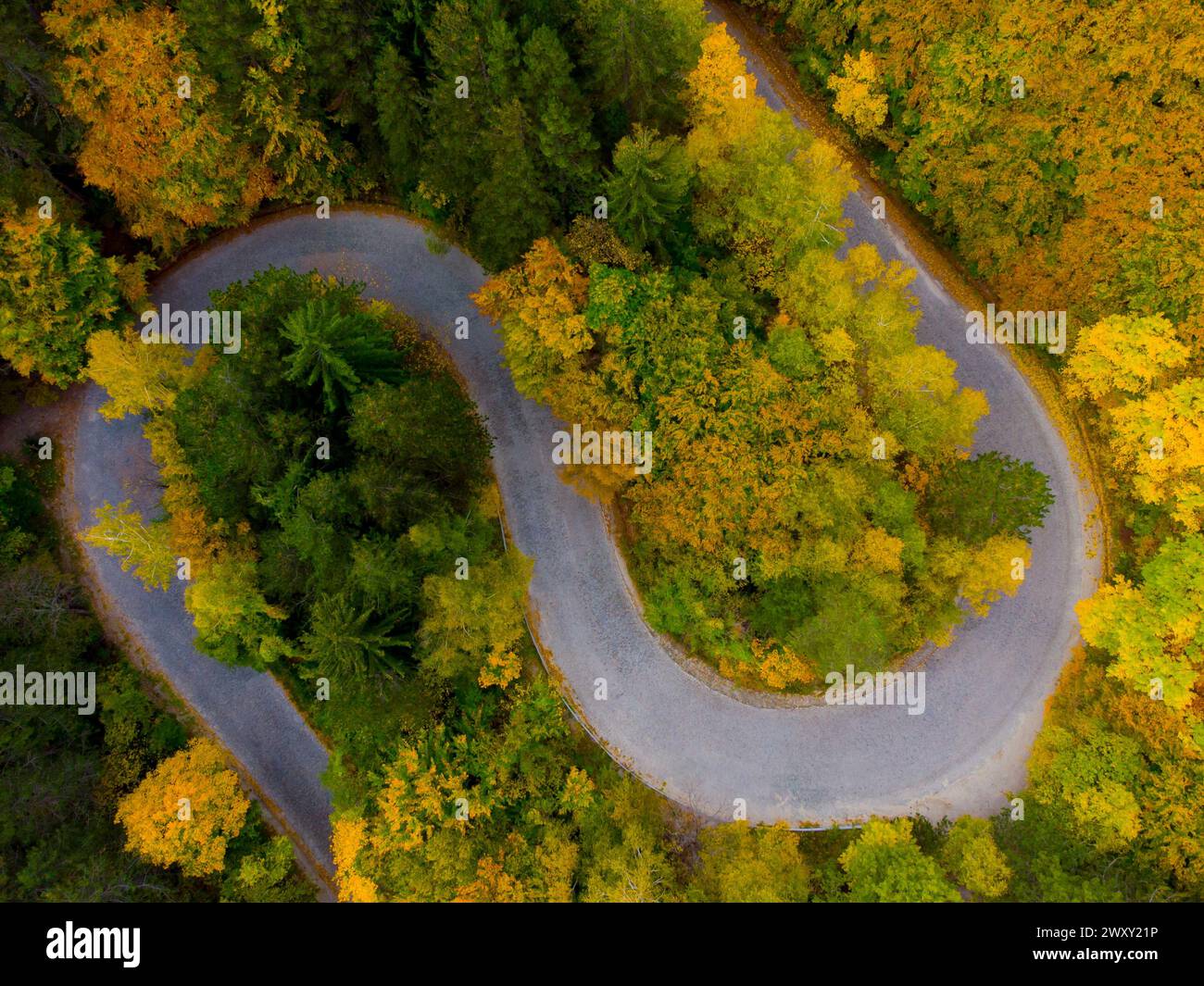 Kurven auf einer Bergstraße durch eine wunderschöne Herbstlandschaft. Stockfoto