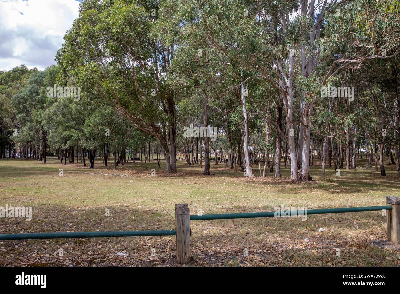 Parklea, Vorort von Sydney und Teil des Großraums Western Sydney mit Davison Reservat Grünflächen in den Wohngebieten in Parklea, NSW, Australien Stockfoto