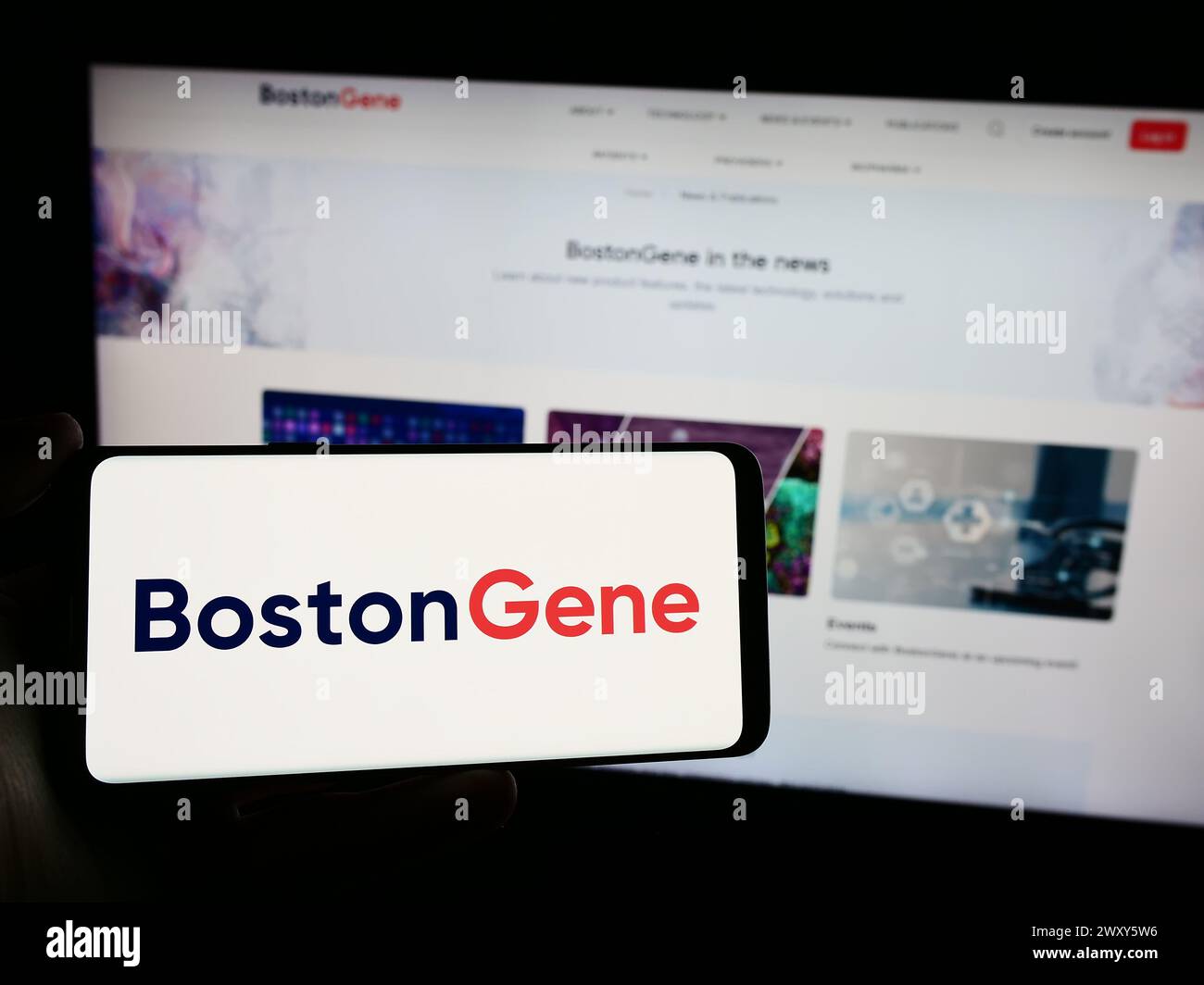 Person, die ein Mobiltelefon mit dem Logo des amerikanischen Biotechnologie-Unternehmens BostonGene Corporation vor der Webseite hält. Schwerpunkt auf dem Display des Telefons. Stockfoto