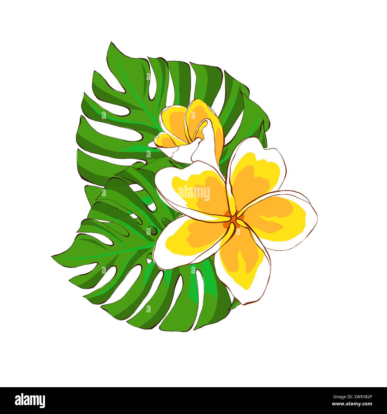 Blumenanordnung von tropischen Blumen und Blättern, handgezeichnete Illustration auf weißem Hintergrund. Exotische Plumerieblätter und Monsterablätter. Design Stockfoto