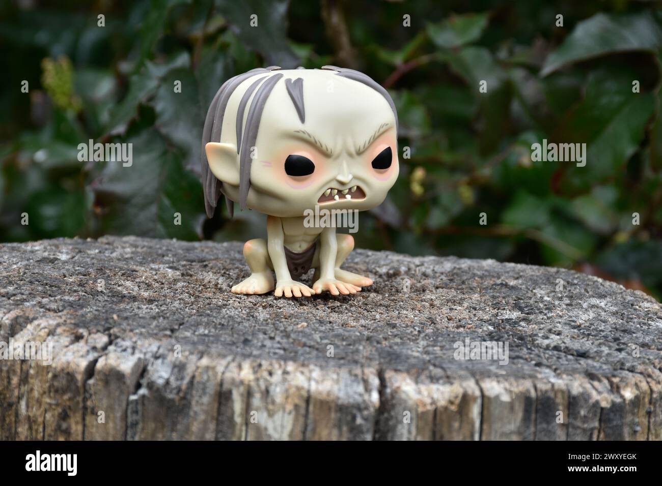 Funko Pop Actionfigur von Gollum aus dem Fantasy-Film der Herr der Ringe. Dunkler Wald, Baumstumpf, grüne Blätter. Stockfoto