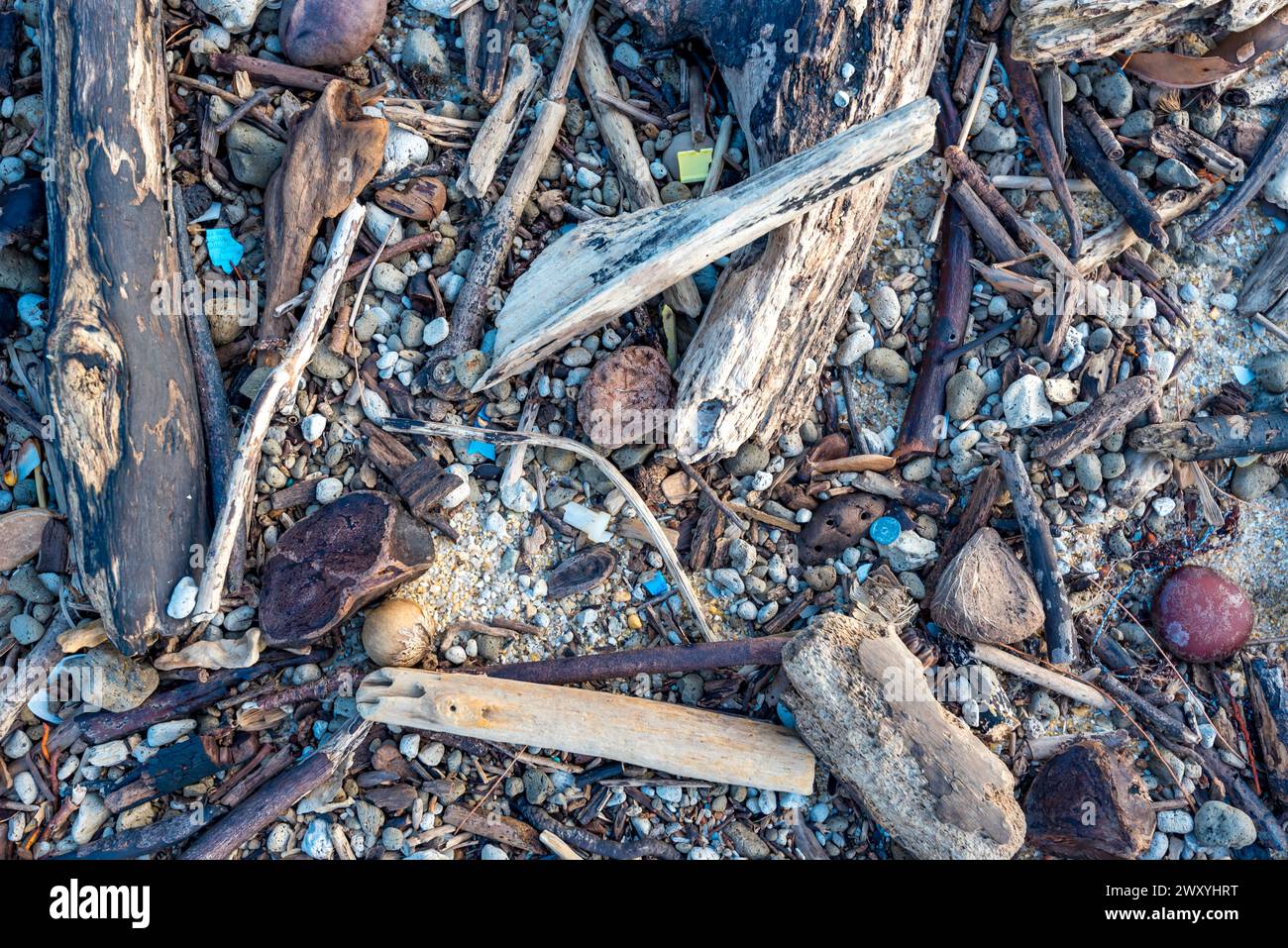 Die Plastikverschmutzung am Wonga Beach in Far North Queensland, Australien, wurde entweder an Land gespült oder in einem nahegelegenen Sturmwasserabfluss aus der Stadt hinunter gespült Stockfoto