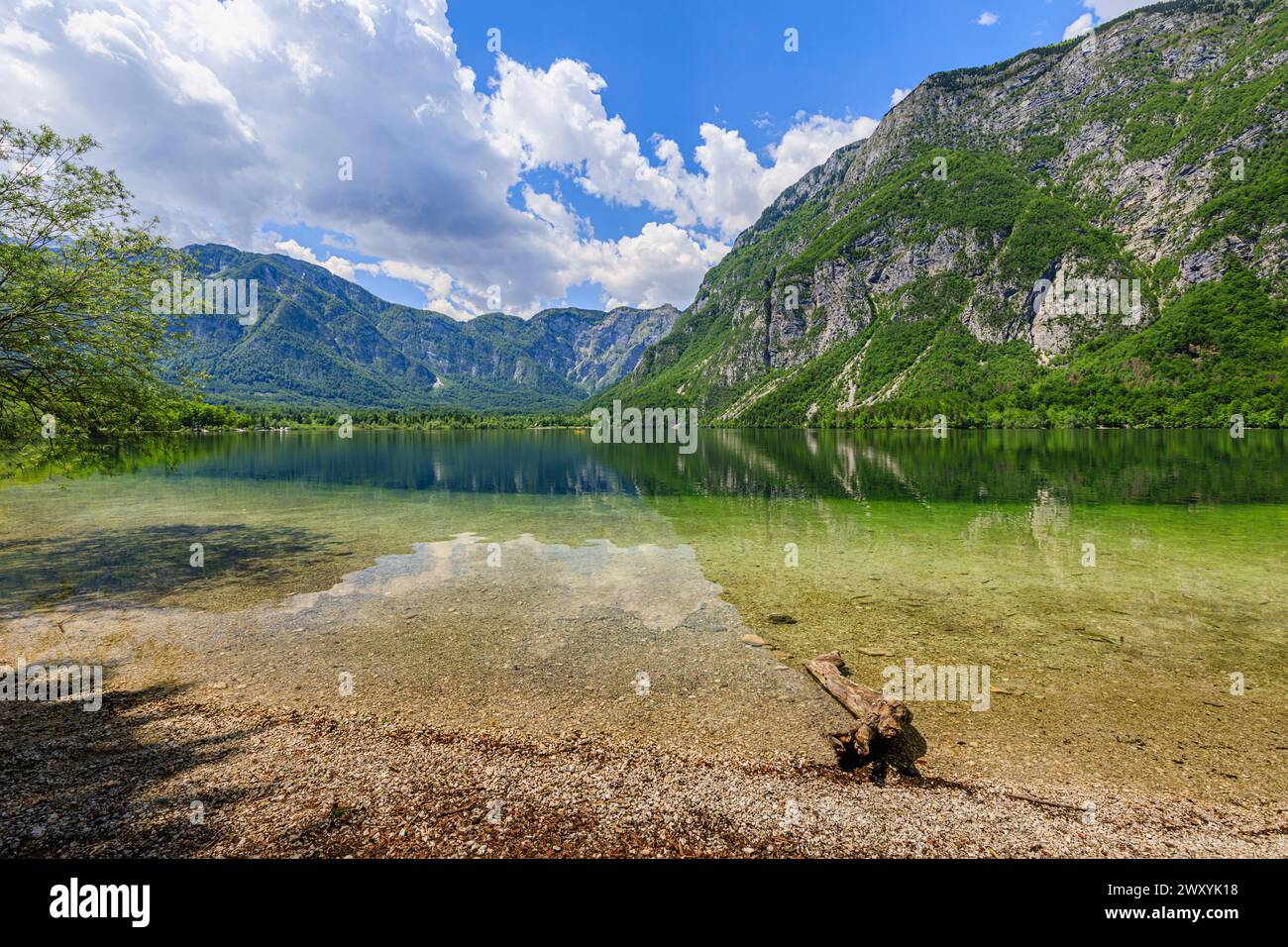 Panoramablick auf die Küste, das klare Wasser und die Berge rund um den Bohinj-See, ein beliebtes Touristenziel in Slowenien, Mittel- und Osteuropa Stockfoto