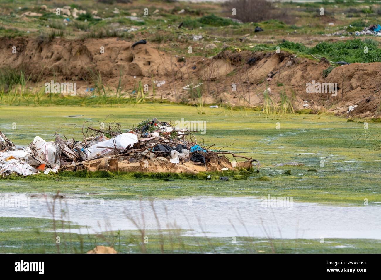 Abfälle und Müll aus touristischen Einrichtungen werden in die Lebensräume von Vögeln geworfen. Verschmutzung von Feuchtgebieten, chemische Verschmutzung. Stockfoto