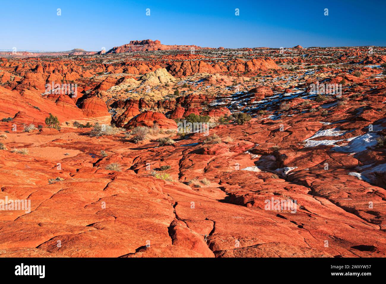 Coyote Buttes North, Sandstein, USA, Arizona, Paria Wilderness Stockfoto