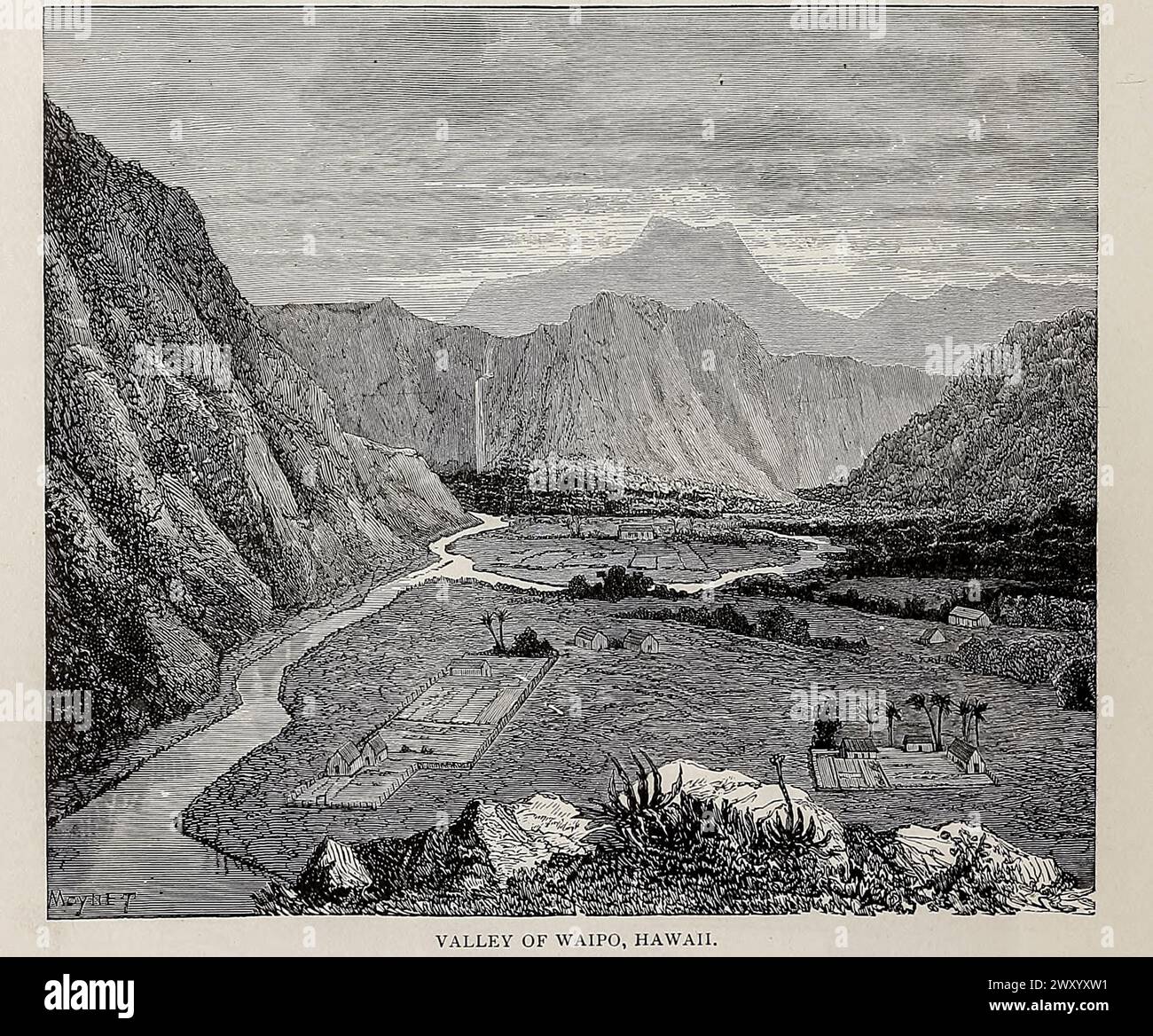 Valley of Waipo, Hawaii from Cyclopedia Universal History : die vollständigste und jüngste Präsentation des Themas in zwei Hauptteilen oder Abteilungen von mehr als sechstausend Seiten von John Clark Ridpath, 1840-1900 Publikationsdatum 1895 Publisher Boston: Balch Bros Band 7 Geschichte des Menschen Stockfoto