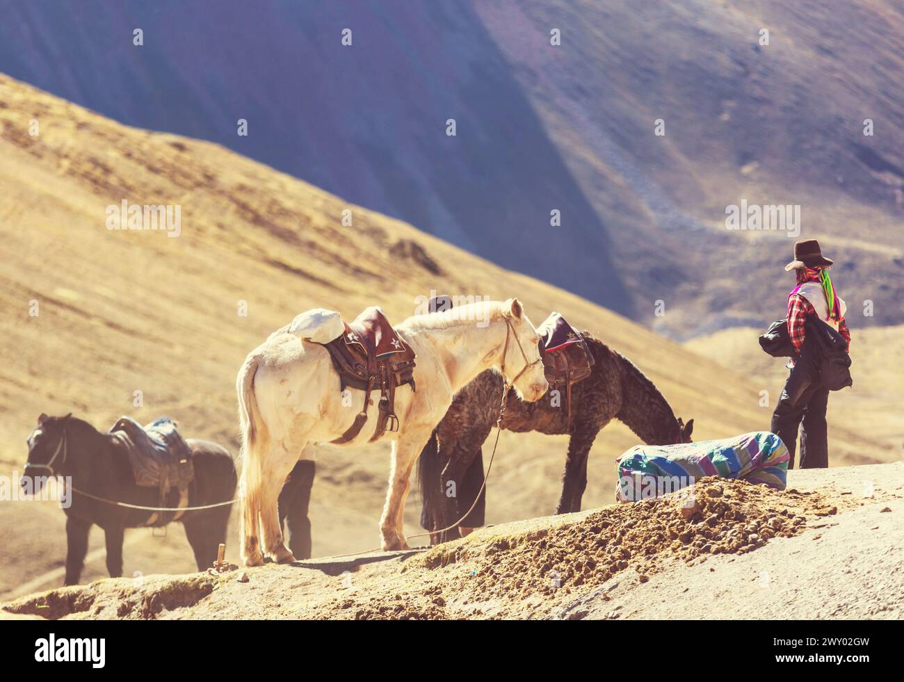 Authentischer Reiseleiter in Vinicunca, Region Cusco, Peru. Montana de Siete Colores, Rainbow Mountain. Stockfoto