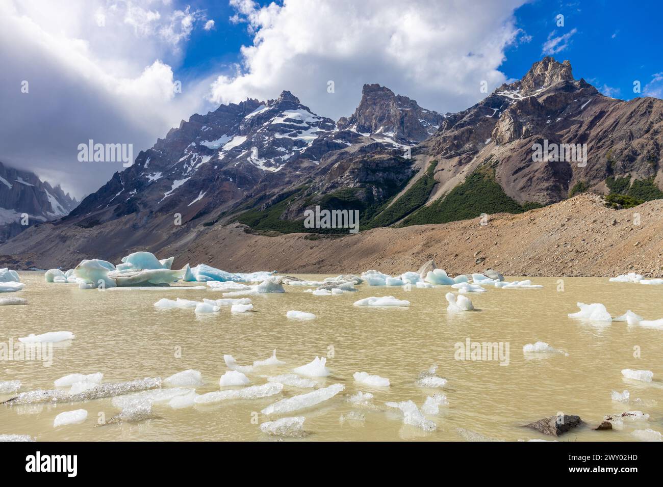 Die malerische Landschaft der Berge Patagoniens in El Chalten, Argentinien. Fitzroy Mountain Trekking und Wandern. Fitz Roy Granitwand Gipfel an einem sonnigen Tag Stockfoto