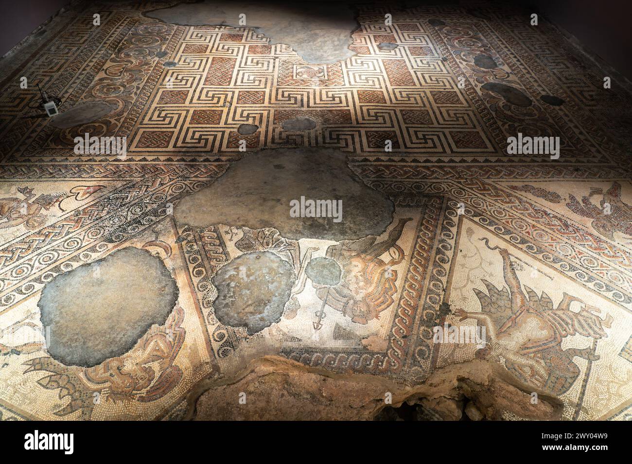 Das TriClinium (Speisesaal) im westlichen Bereich der Chedworth Roman Villa. Der Mosaikboden zeigt Mythen, die mit Bacchus, dem Gott des Weines, verbunden sind. UK Stockfoto