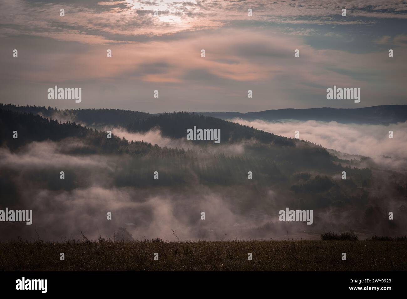 Nebelige Morgenlandschaft, Sommer, Nebel und Wald, Bieszczady Mountains, Polen Stockfoto