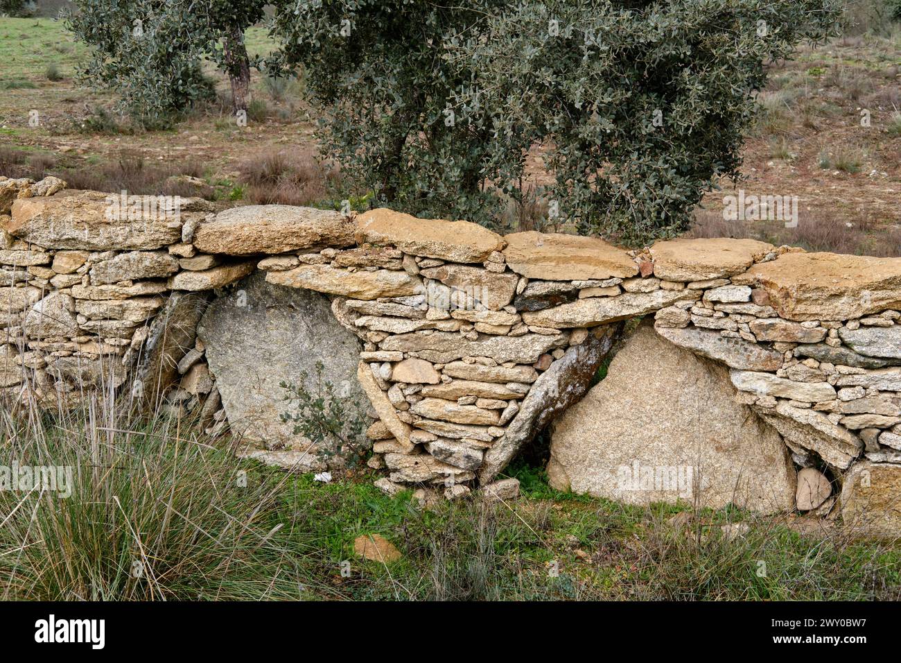 Mittelalterliche Steinmauer, die das Land trennt. Miranda do Douro, Portugal Stockfoto