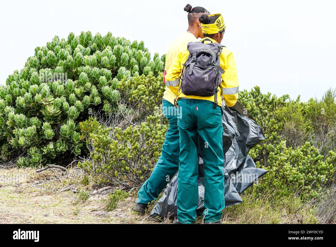 Mitarbeiter, Mitarbeiter im Table Mountain-Nationalpark reinigen in einer Umweltregion von Western Cape, Südafrika Konzept Ökologie und Umwelt Stockfoto