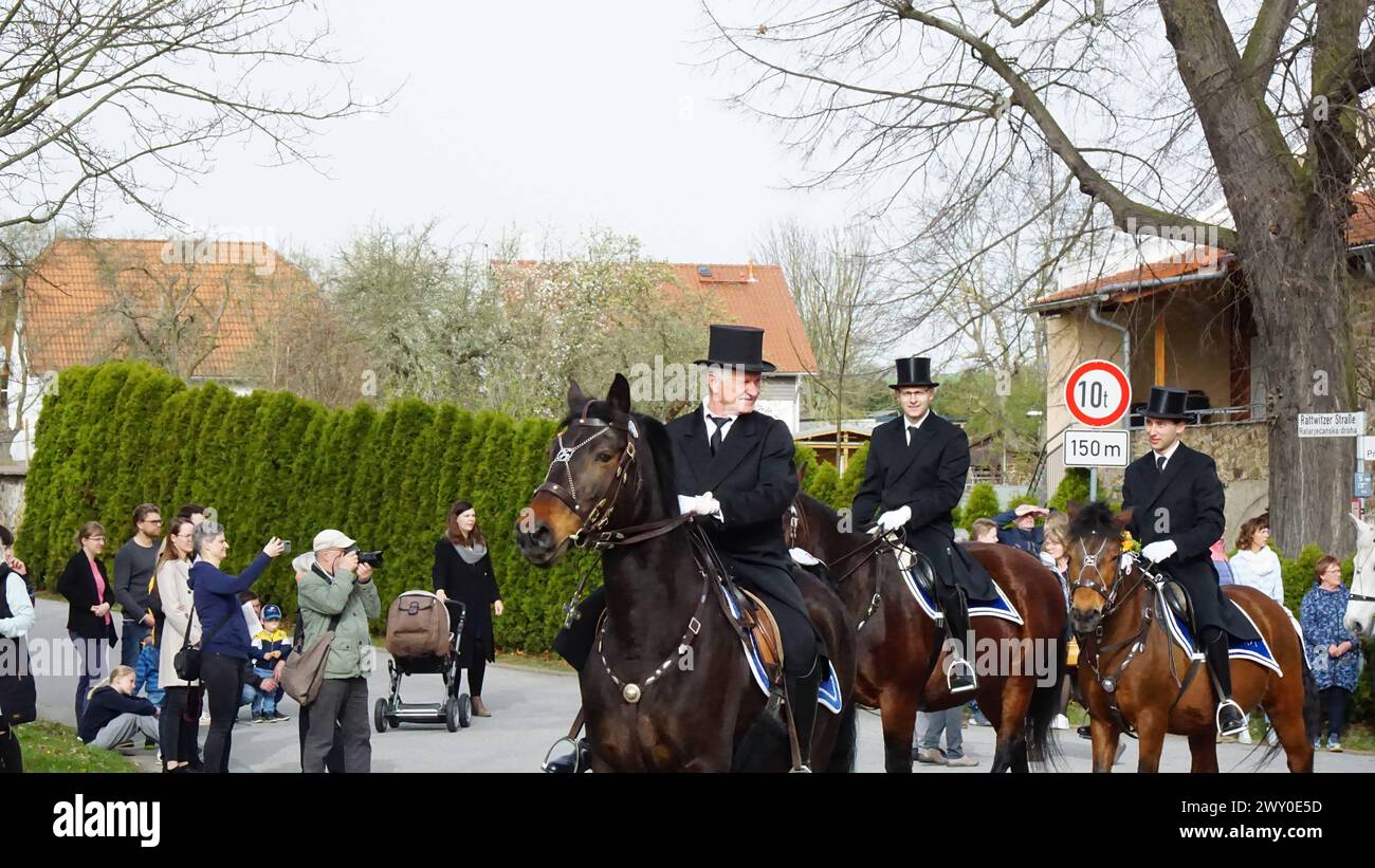 Bautzen - Sorbischer Brauch: Osterreiter verkünden Auferstehung 31.03.2024 Bautzen und AT: Stiebitz Fotograf: LausitzNews.de/Tim Kiehle die Tradition des Osterreitens wird in der Lausitz seit vielen Jahrhunderten gepflegt. In 9 verschiedenen Prozessionen machen sich wieder hunderte Reiter mit geschmückten Pferden auf den Weg, um die Botschaft der Auferstehung Christi ins Land hinaus zu tragen. In Bautzen setzte sich die Prozession gegen 10:45 Uhr, mit dem Ziel Radibor, in Bewegung. Zuvor wurden die Reiter von Dompfarrer Veit Scapan gesegnet, danach gesetzt auch er sich au Stockfoto