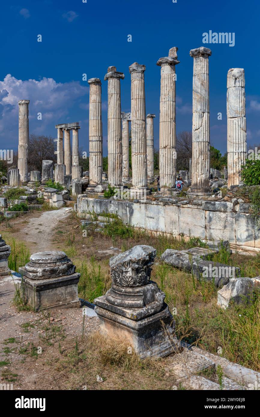 Tempel der Aphrodite, Aphrodisias, Geyre, Provinz Aydin, Türkei Stockfoto
