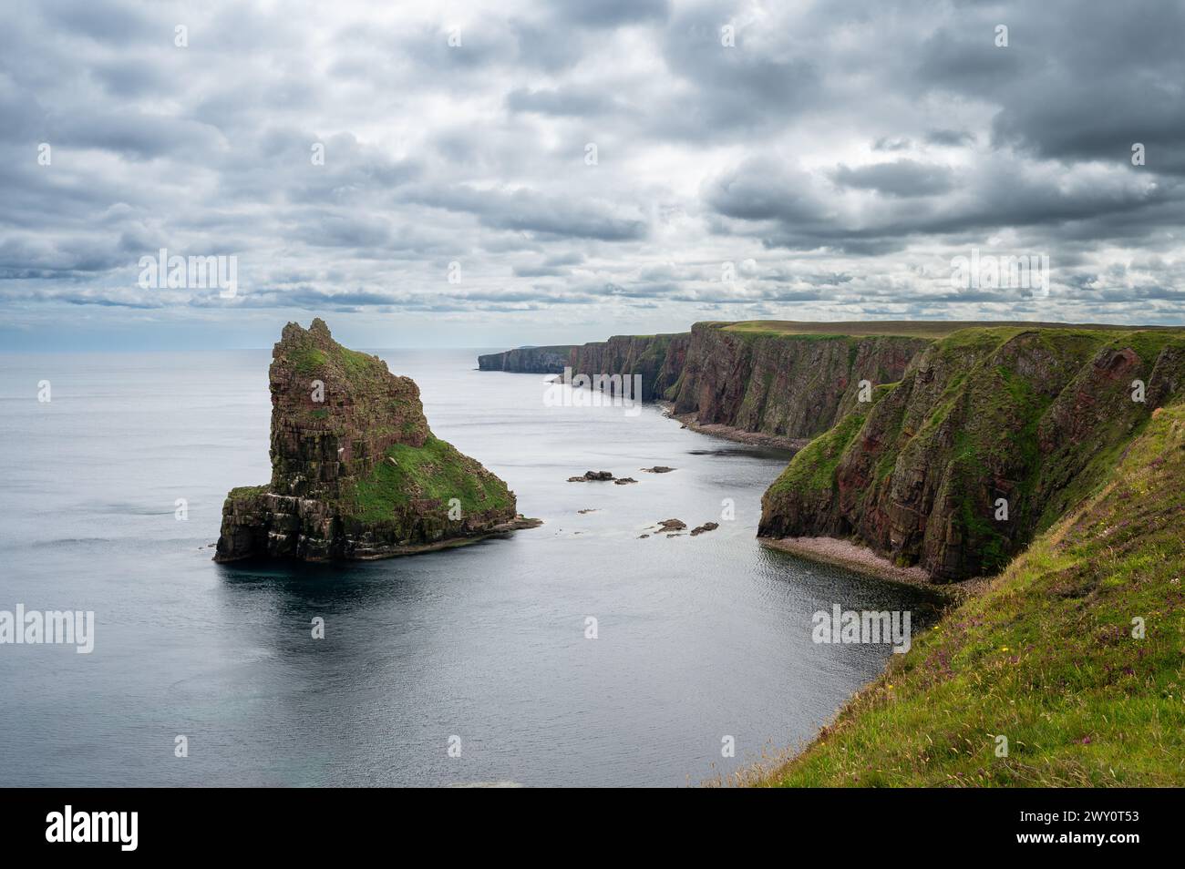 Duncansby Stacks and Cliff at North Sea, Duncansby Head, John O´Groats, Schottland, Großbritannien Stockfoto