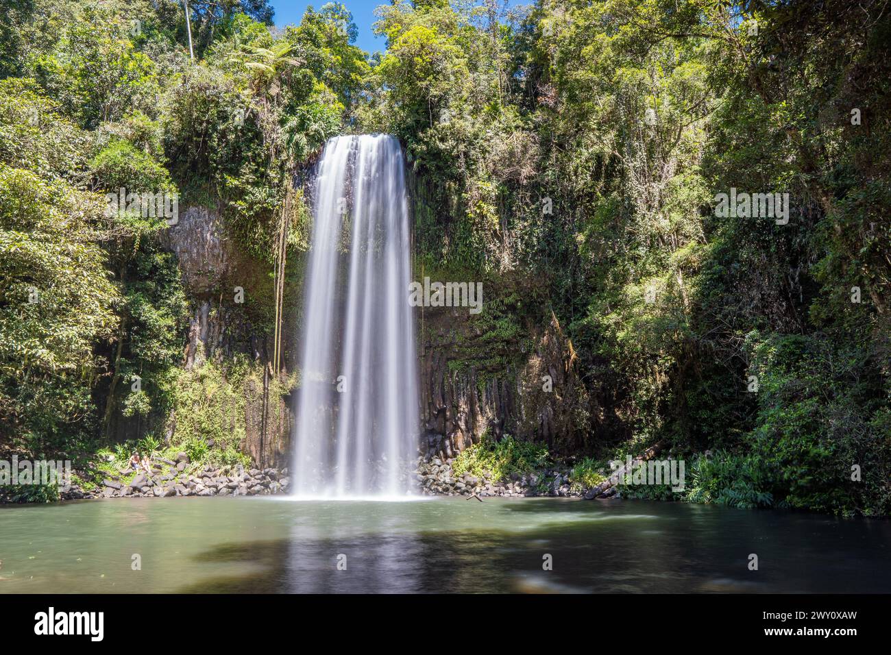 Millaa Millaa Wasserfälle in Queensland, Australien Stockfoto