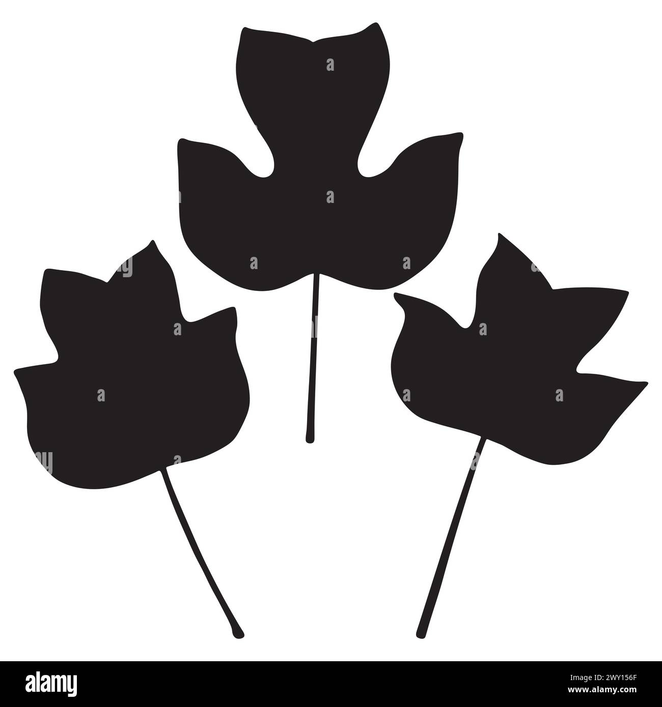 Tulpenpappel oder Tulpenbaum Blatt Silhouetten, Vektor botanische Illustration. Grosse breite Liriodendron tulipifera-Blätter. Stock Vektor