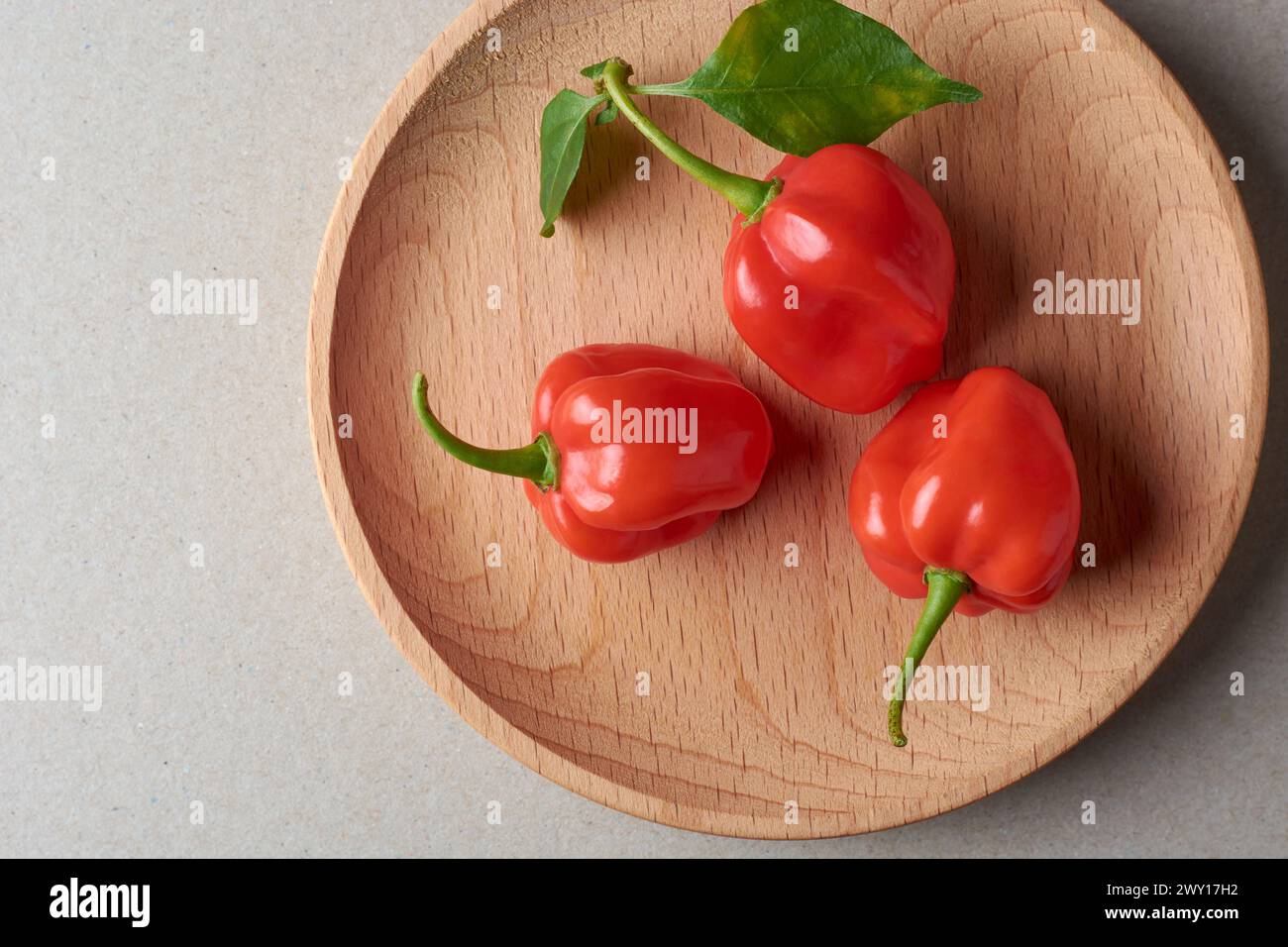 Drei rote Habanero-Chili-Paprika auf Tablett, Paprika Chinense, heißeste Gewürze mit faltiger oder genoppter Haut, intensiver Würzgeschmack, kulinarische Zutat Stockfoto