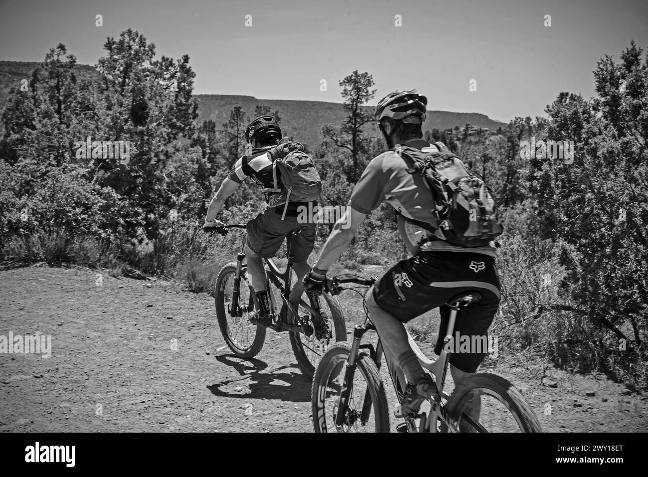 Biker auf den Bergpfaden, Sedonaа, Arizona, USA Stockfoto