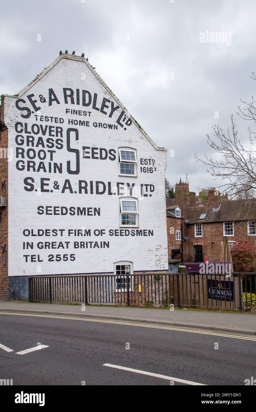 Schildern Sie auf dem Giebelende eines Hauses in der Shropshire Marktstadt Bridgnorth für S E & A Ridley Ltd, den ältesten Saatguthändler und Saatarbeiter Großbritanniens Stockfoto