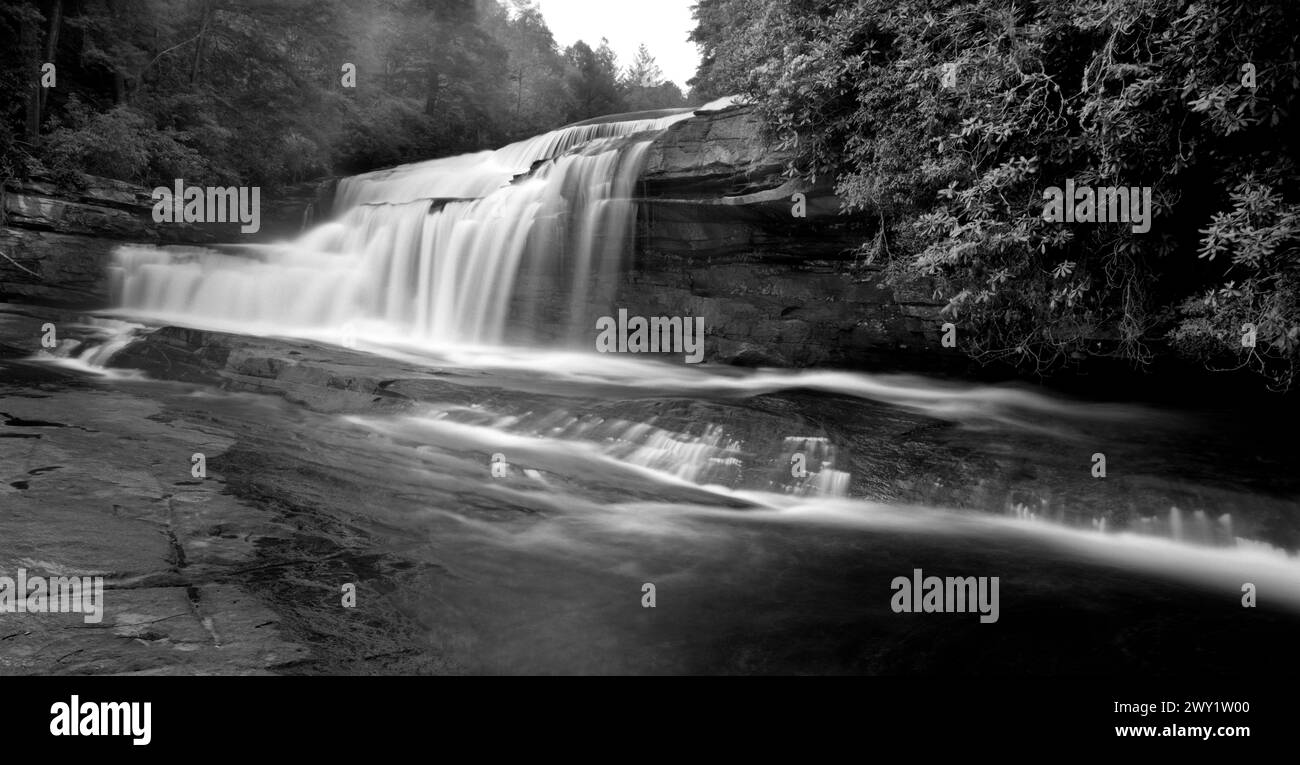 BW01698-00..... NORTH CAROLINA – Wasserfall im Dupont State Recreational Forest. Stockfoto