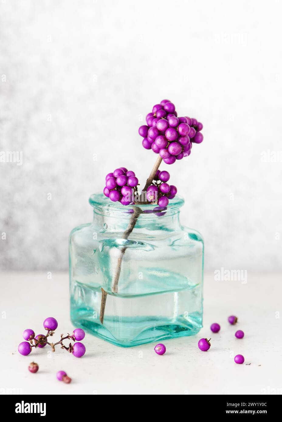 Erstaunlicher Zweig mit violetten Beeren in einer kleinen türkisfarbenen Glasvase. Romantisches minimales florales Stillleben. Stockfoto