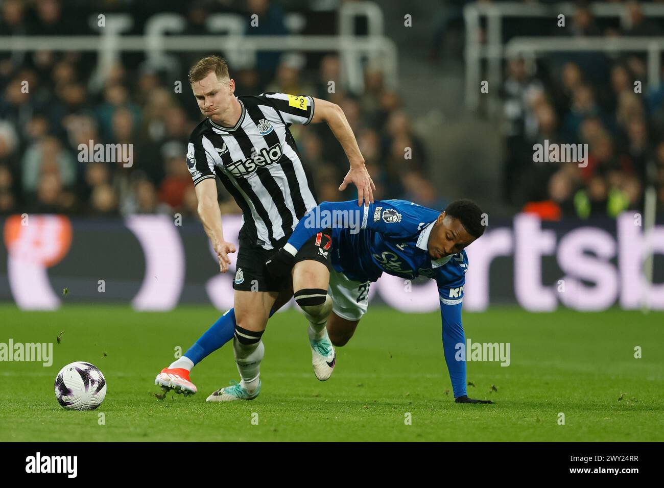 Emil Krafth von Newcastle United kämpft mit Evertons Youssef Chermiti während des Premier League-Spiels zwischen Newcastle United und Everton in St. James's Park, Newcastle am Dienstag, den 2. April 2024. (Foto: Mark Fletcher | MI News) Credit: MI News & Sport /Alamy Live News Stockfoto