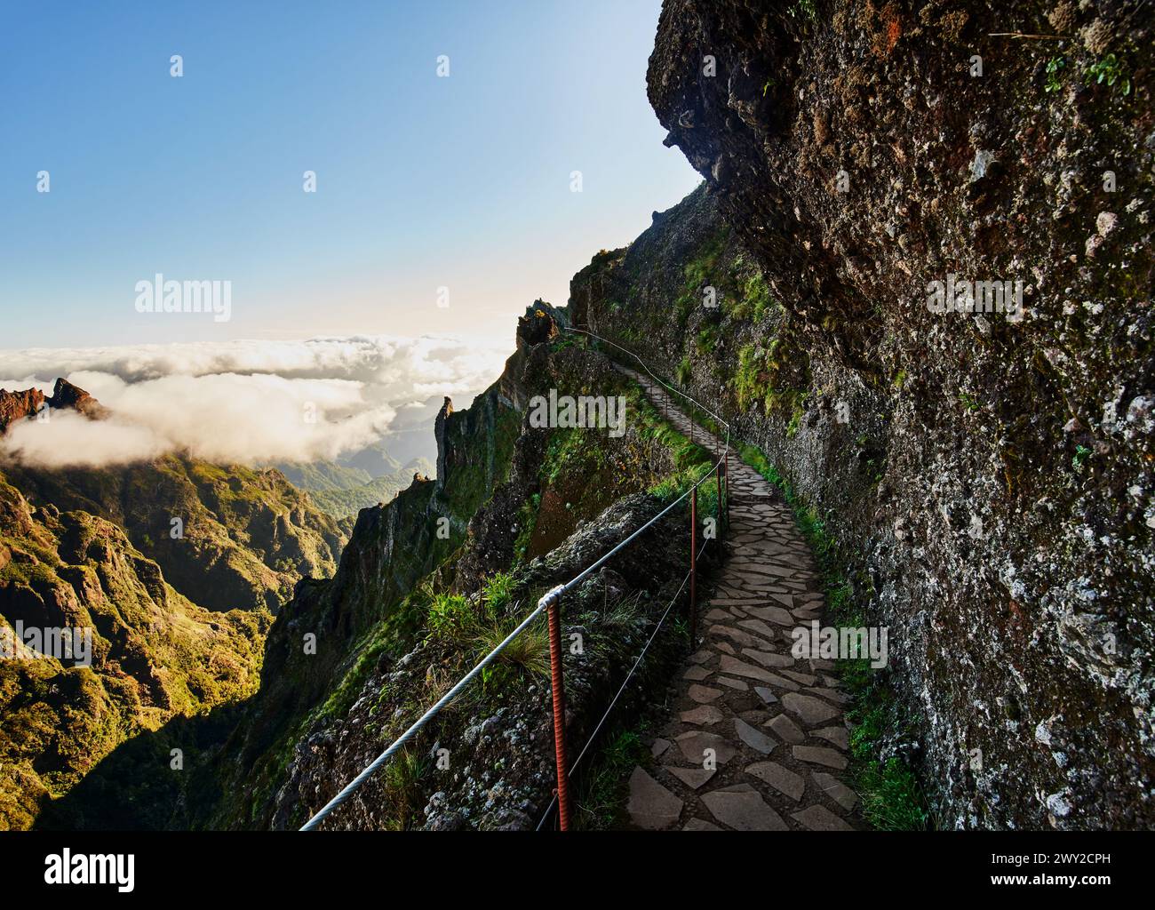 PR1 Trail, Pico do Arierio zur Pico Ruivo Wanderung, auf Madeira Insel, Portugal, Europa Stockfoto