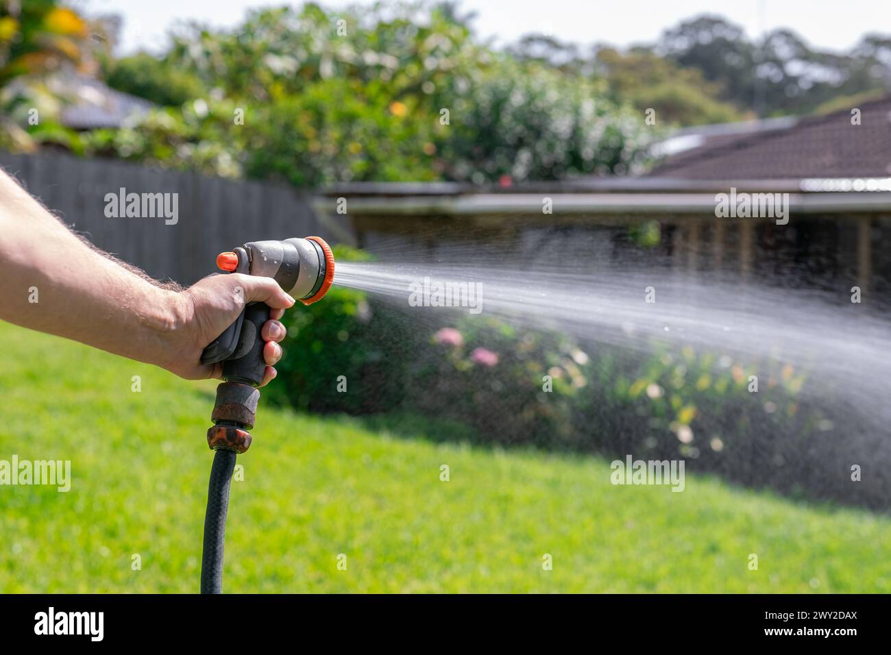 Gartenschlauch mit einstellbarer Düse. Die Hand des Mannes hält eine Spritzpistole und bewässert Pflanzen, sprüht Wasser auf Gras im Garten. Stockfoto