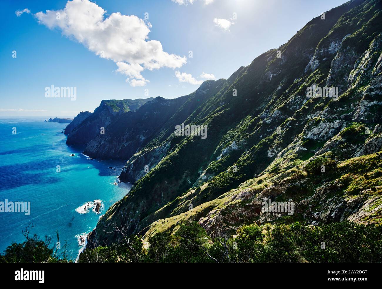 Blick auf die Küste von der Wanderung Vereda do Larano auf Madeira, Portugal Stockfoto