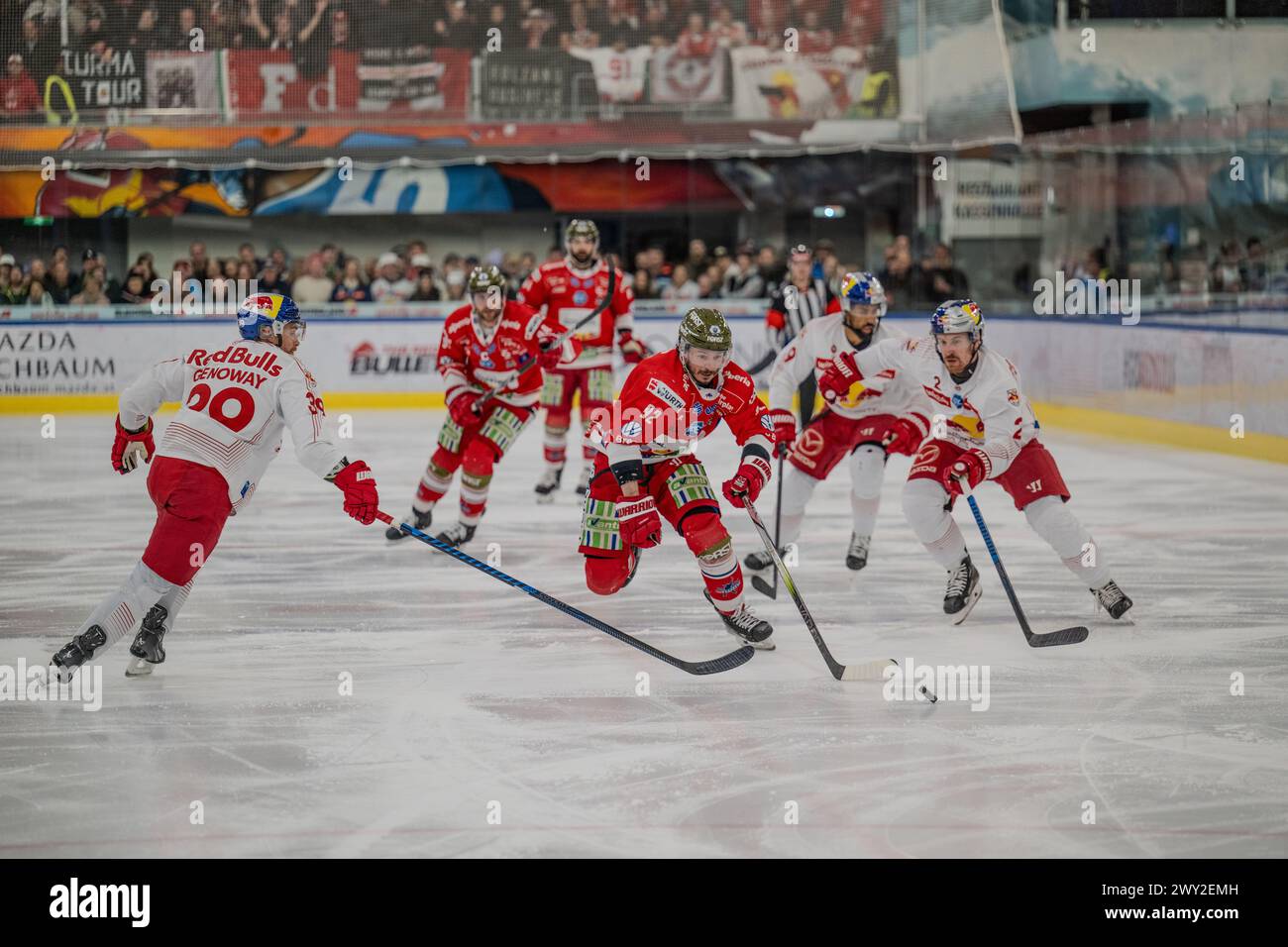 EV Red Bull Salzburg vs HCB Südtirol Alperia am 02.04.2024 in Salzburg Österreich Stockfoto