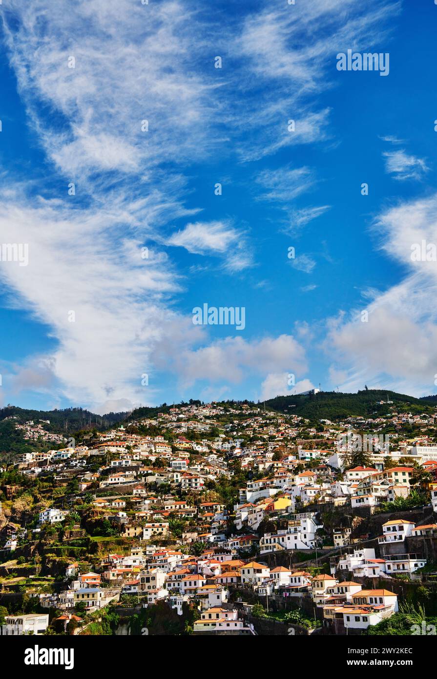 Stadtbild von Funchal, Madeira, Portugal, Europa Stockfoto