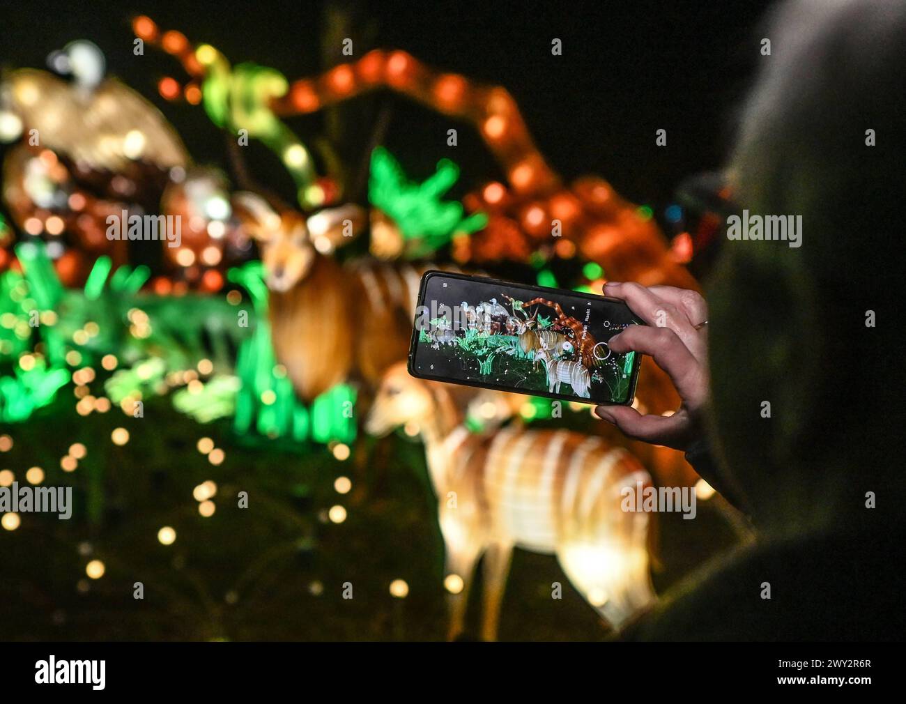 Kleve Tiergarten - China-Lights Lichtershow Kleve Tiergarten - China-Lights Lichtershow, Kleve Nordrhein Westfalen Deutschland *** Kleve Tiergarten China Lights Lichtershow Kleve Tiergarten China Lights Lichtershow, Kleve Nordrhein Westfalen Deutschland Stockfoto
