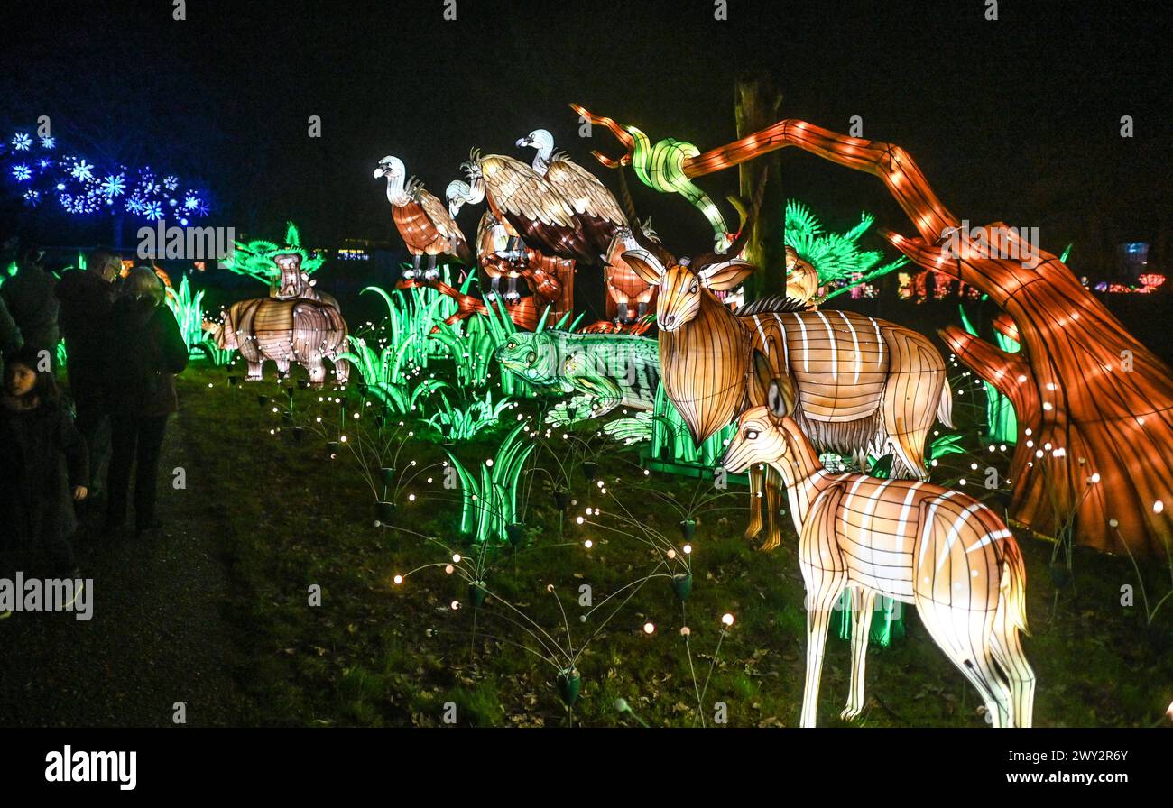 Kleve Tiergarten - China-Lights Lichtershow Kleve Tiergarten - China-Lights Lichtershow, Kleve Nordrhein Westfalen Deutschland *** Kleve Tiergarten China Lights Lichtershow Kleve Tiergarten China Lights Lichtershow, Kleve Nordrhein Westfalen Deutschland Stockfoto