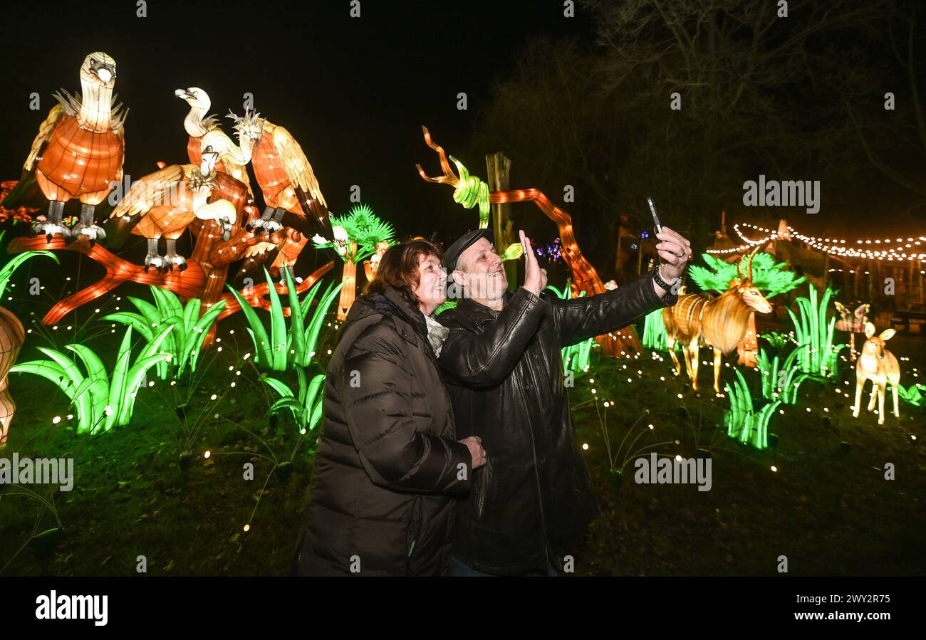 Kleve Tiergarten - China-Lights Lichtershow Kleve Tiergarten - China-Lights Lichtershow, Kleve Nordrhein Westfalen Deutschland *** Kleve Tiergarten China Lights Lichtershow Kleve Tiergarten China Lights Lichtershow, Kleve Nordrhein Westfalen Deutschland Stockfoto