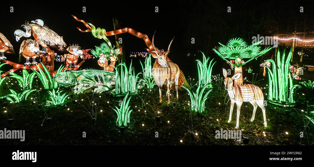 Kleve Tiergarten - China-Lights Lichtershow Kleve Tiergarten - China-Lights Lichtershow, Kleve Nordrhein Westfalen Deutschland *** Kleve Tiergarten China Lights Lichtershow Kleve Tiergarten China Lights Lichtershow, Kleve Nordrhein Westfalen Deutschland Stockfoto