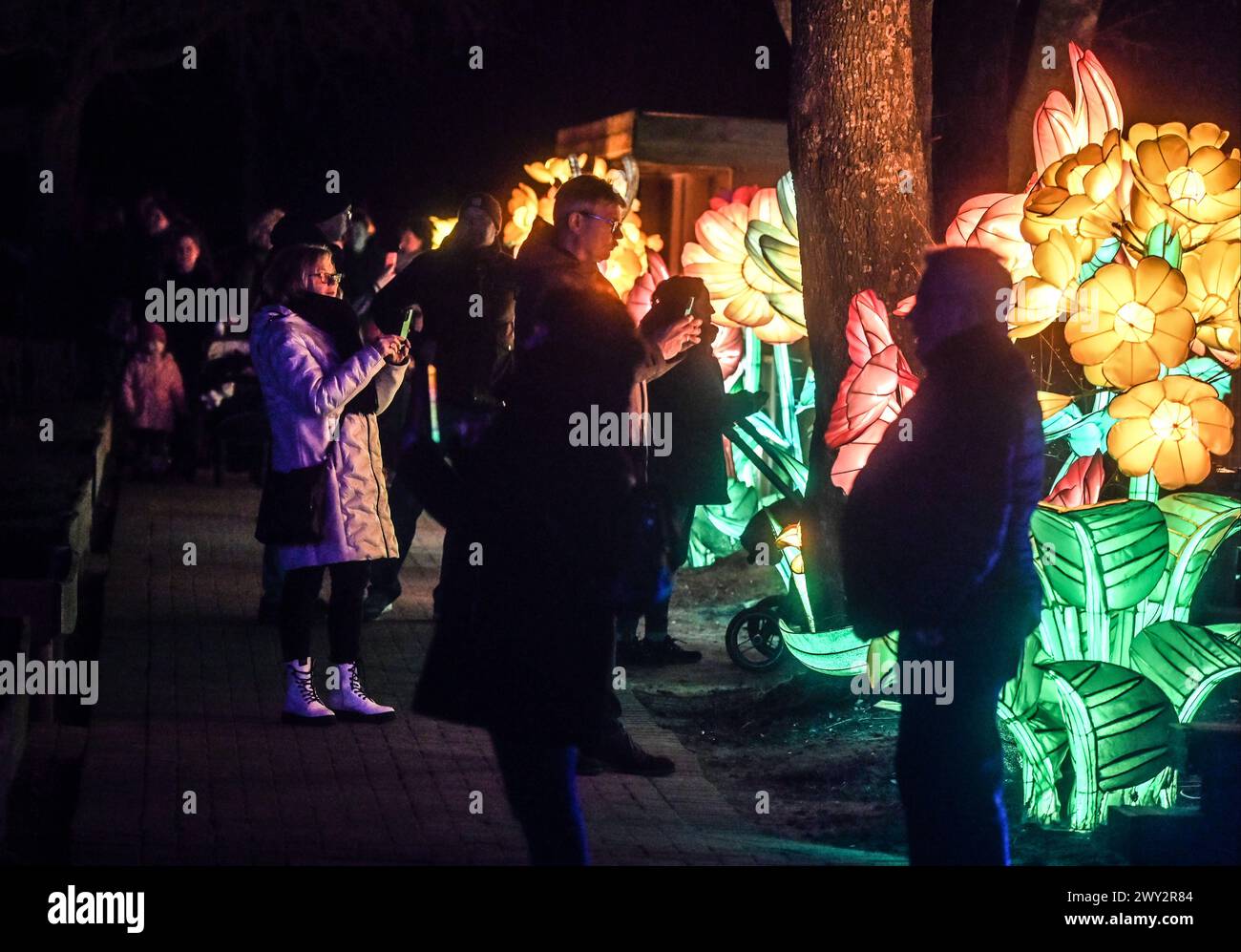 Kleve Tiergarten - China-Lights Lichtershow Kleve Tiergarten - China-Lights Lichtershow, Kleve Nordrhein Westfalen Deutschland *** Kleve Tiergarten China Lights Lichtershow Kleve Tiergarten China Lights Lichtershow, Kleve Nordrhein Westfalen Deutschland Stockfoto