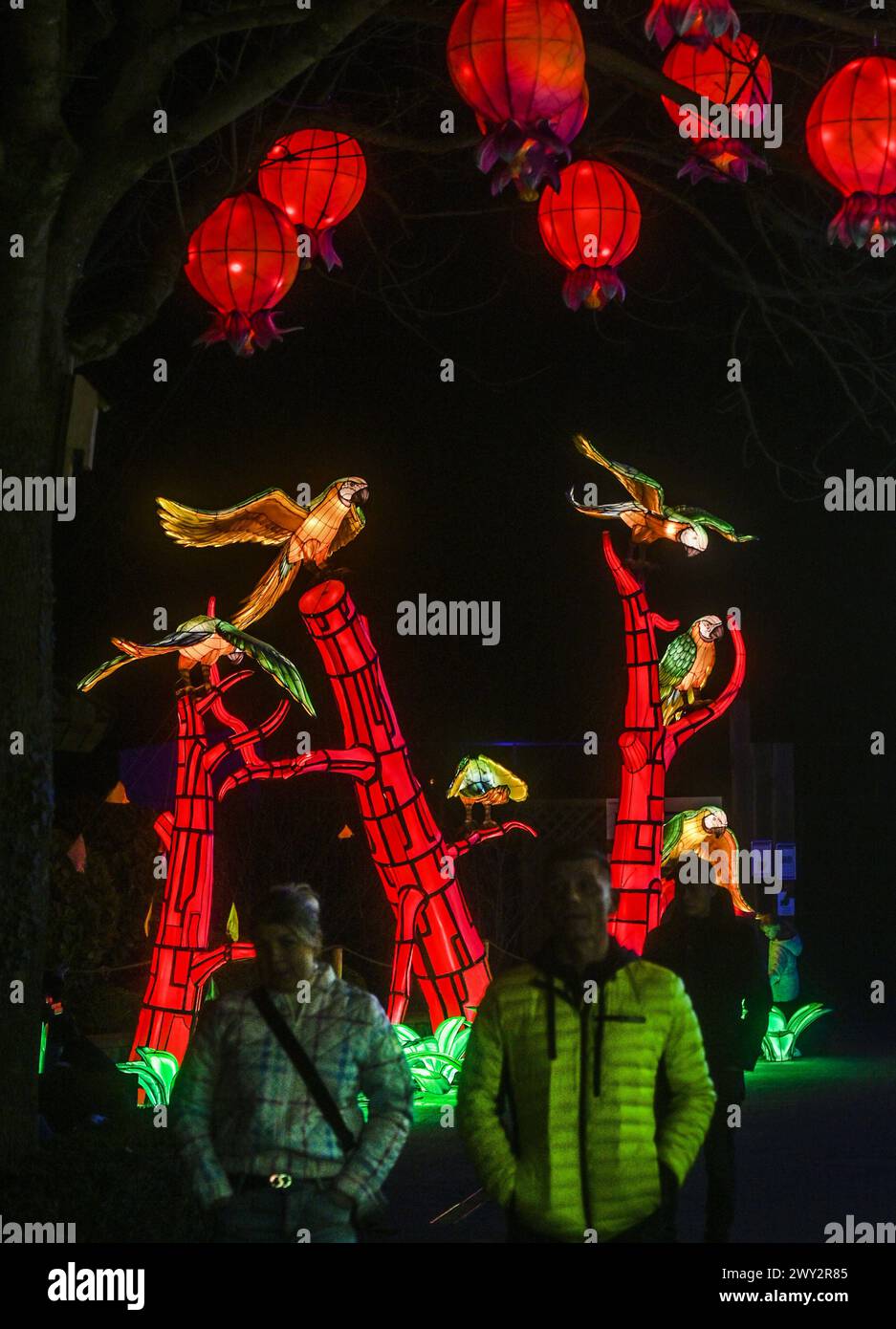 Kleve Tiergarten - China-Lights Lichtershow Kleve Tiergarten - China-Lights Lichtershow, Kleve Nordrhein Westfalen Deutschland *** Kleve Tiergarten China Lights Lichtershow Kleve Tiergarten China Lights Lichtershow, Kleve Nordrhein Westfalen Deutschland Stockfoto