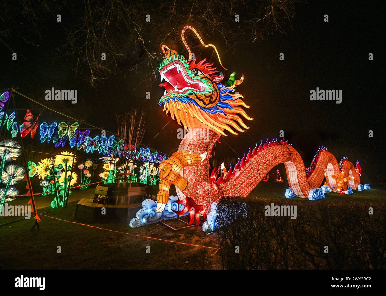 Kleve Tiergarten - China-Lights Lichtershow Kleve Tiergarten - China-Lights Lichtershow, Kleve Nordrhein Westfalen Deutschland *** Kleve Tiergarten China Lights Lichtershow Kleve Tiergarten China Lights Lichtershow, Kleve Nordrhein Westfalen Deutschland Stockfoto