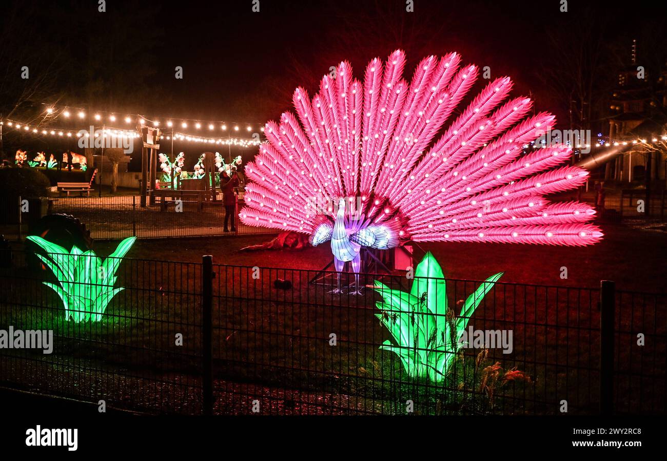 Kleve Tiergarten - China-Lights Lichtershow Kleve Tiergarten - China-Lights Lichtershow, Kleve Nordrhein Westfalen Deutschland *** Kleve Tiergarten China Lights Lichtershow Kleve Tiergarten China Lights Lichtershow, Kleve Nordrhein Westfalen Deutschland Stockfoto