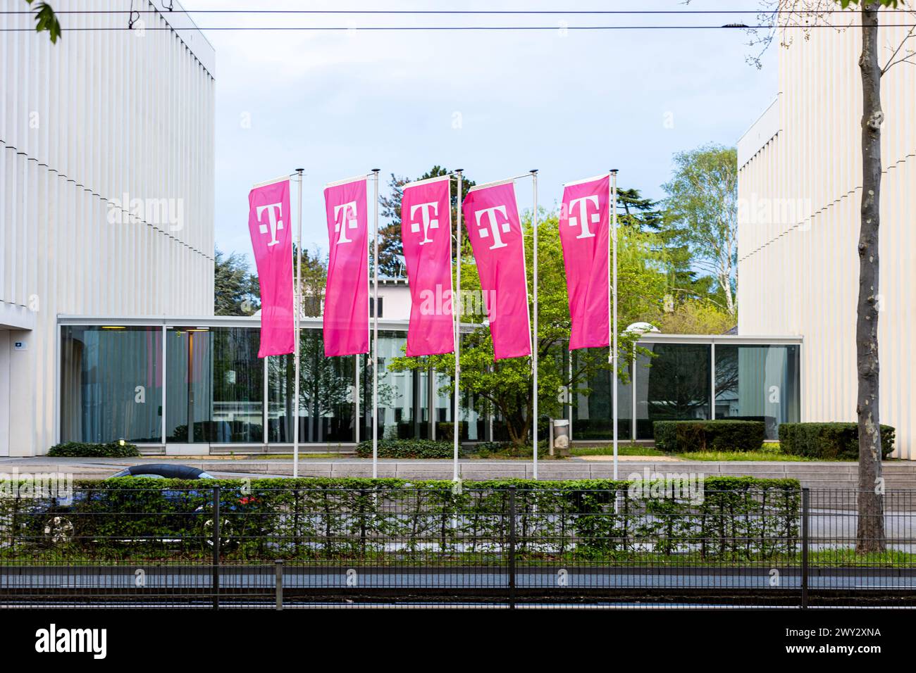 Das Logo vom Weltkonzern Deutsche Telekom AG, auf Fahnenmasten an der Friedrich Ebert Allee in Bonn. 03.04.2024 Bonn Gronau NRW Deutschland *** das Logo des Weltkonzerns Deutsche Telekom AG, auf Fahnenmasten auf der Friedrich Ebert Allee in Bonn 03 04 2024 Bonn Gronau NRW Deutschland Copyright: XBonn.digitalx/xMarcxJohnx Stockfoto