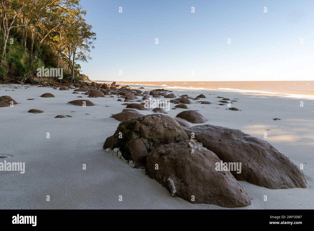 Ein felsiger Strand mit einem Baum im Hintergrund. Der Strand ist mit Sand bedeckt und der Baum ist hoch Stockfoto