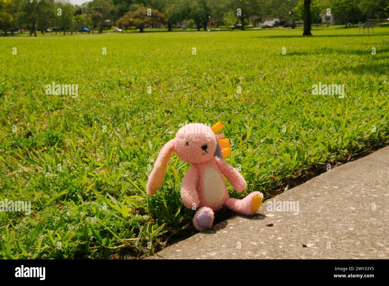 Rosafarbenes Kuschelkaninchen, das auf grünem Gras neben dem Bürgersteig sitzt. Lila und gelbe Füße mit gelb rosa Bögen auf dem Kopf. Die Ohren hängen nach unten. Osterkaninchen Stockfoto