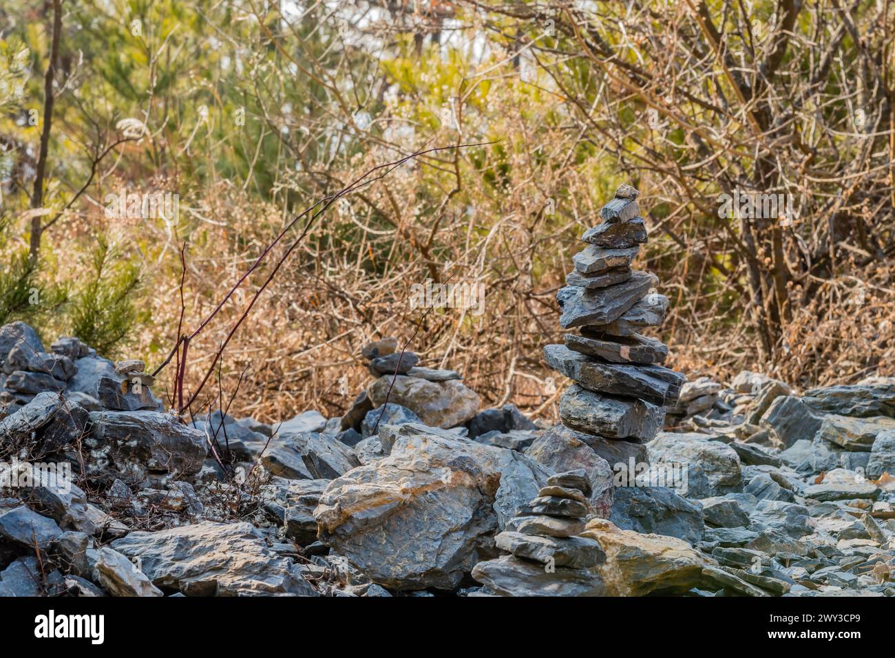 Hoher Stapel flacher Felsen unter anderen Steinen mit Unterholz im Hintergrund in Südkorea Stockfoto