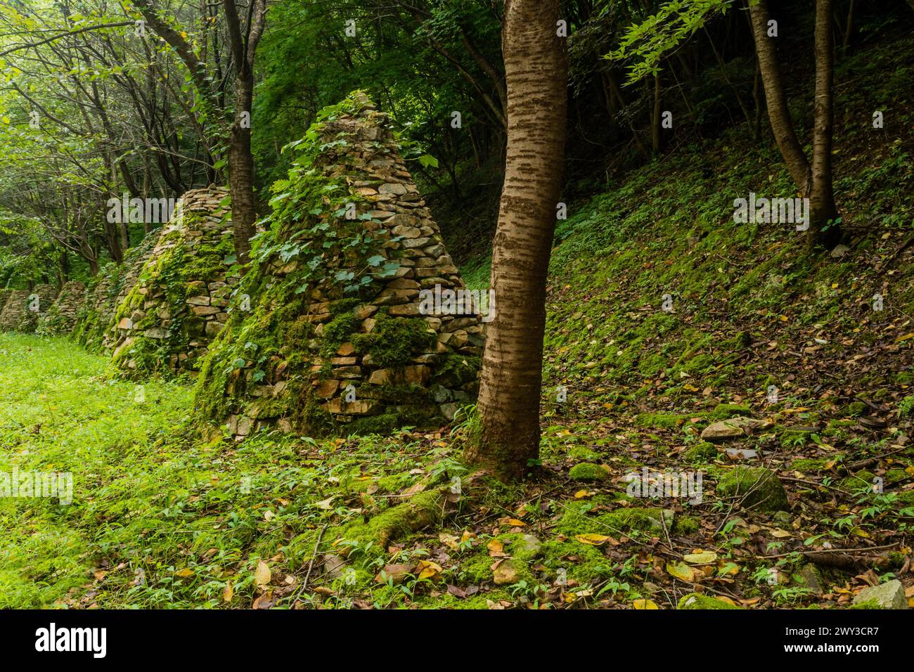 steinreihe (Steinstapel) bedeckt mit Efeu im Waldpark in Südkorea Stockfoto
