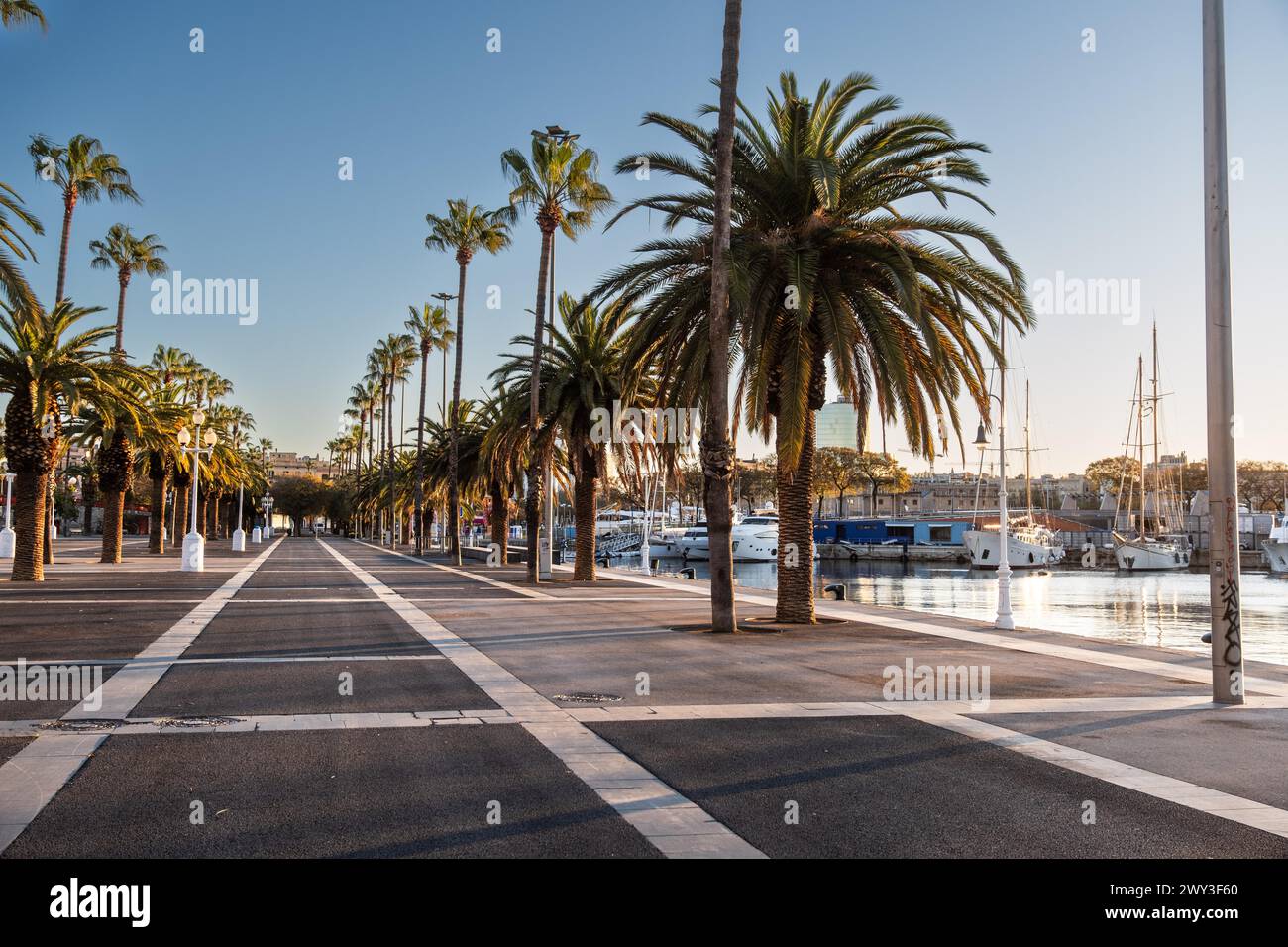 Promenade am alten Hafen mit Palmen in Barcelona, Spanien Stockfoto