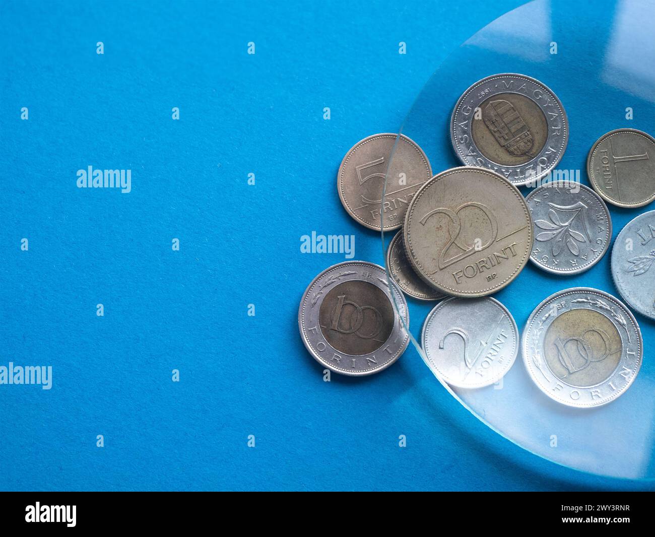 Ungarische Forint-Münzen unter Lupe auf blauem Hintergrund, Platz für Text. Lokale Währungen Stockfoto