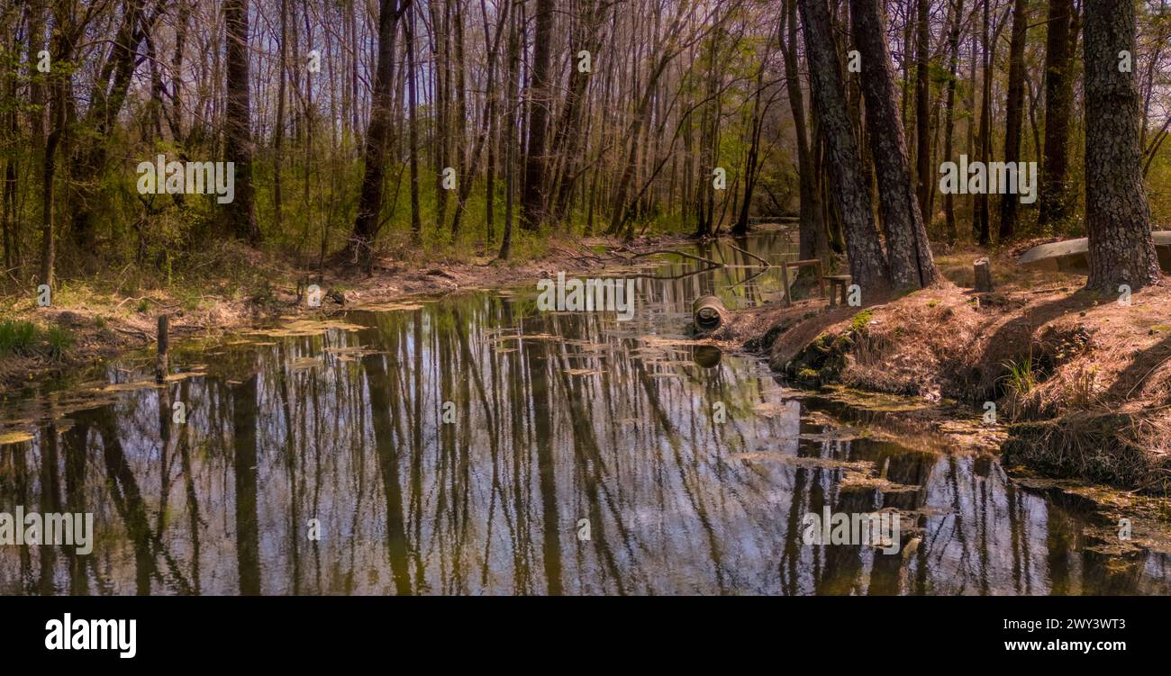 Ein malerischer Blick auf den X-Way Pond in Laurinburg, North Carolina Stockfoto