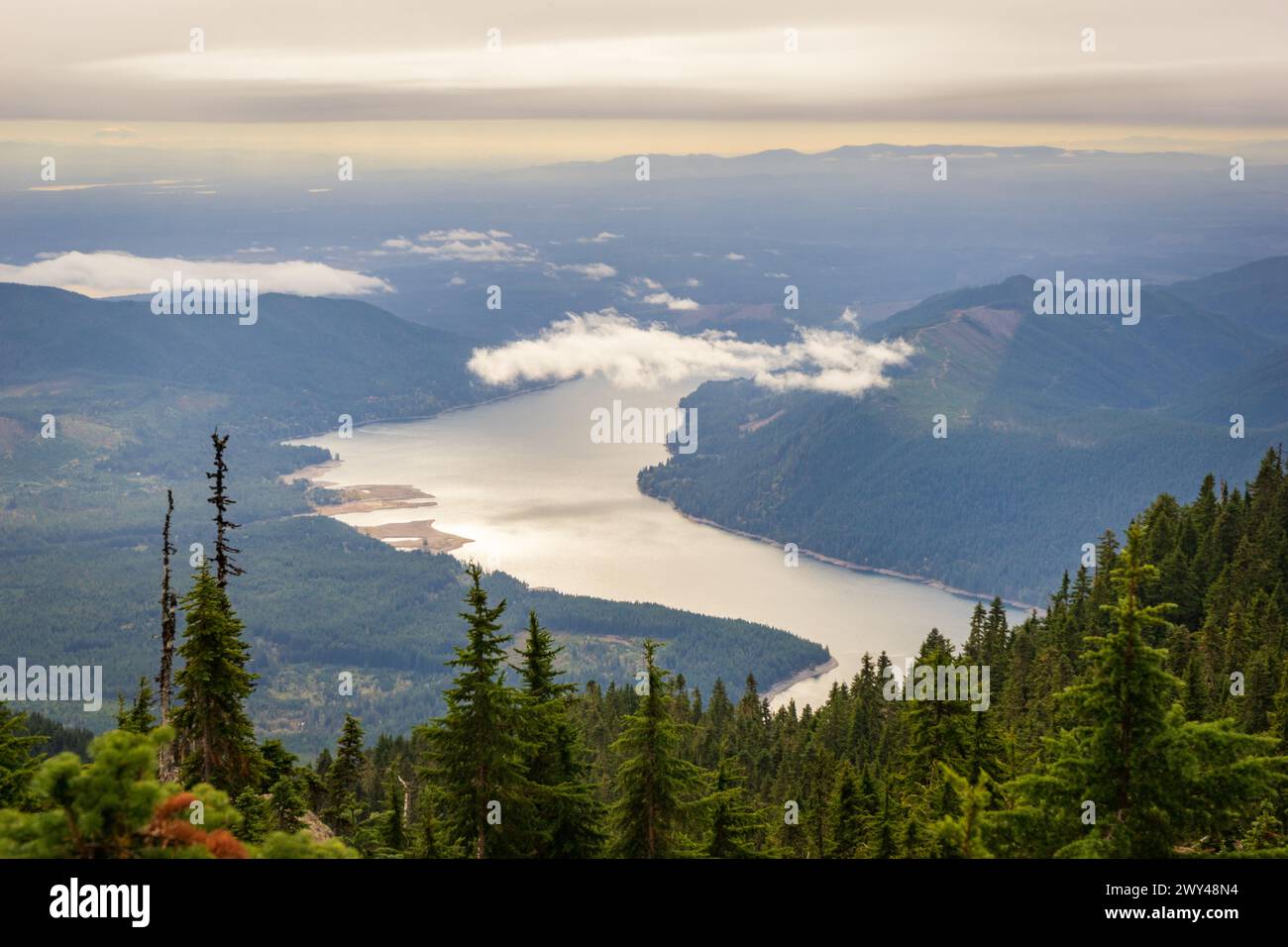 Ein Blick über dunkle Tannen zur silbrigen Oberfläche des Lake Cushman unter einer tiefen Wolkenbank vom Mount Ellinor aus, Olympic National Forest, Washington. Stockfoto